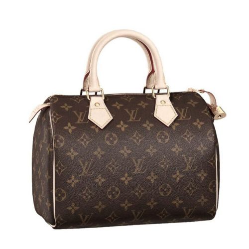 Louis Vuitton Speedy M41528 Brown